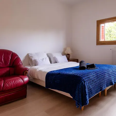 Vercingetorix - Groupe, Billard - Jacuzzi Willa Romagnat