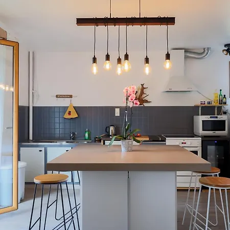 Willa Vercingetorix - Groupe, Billard - Jacuzzi Romagnat